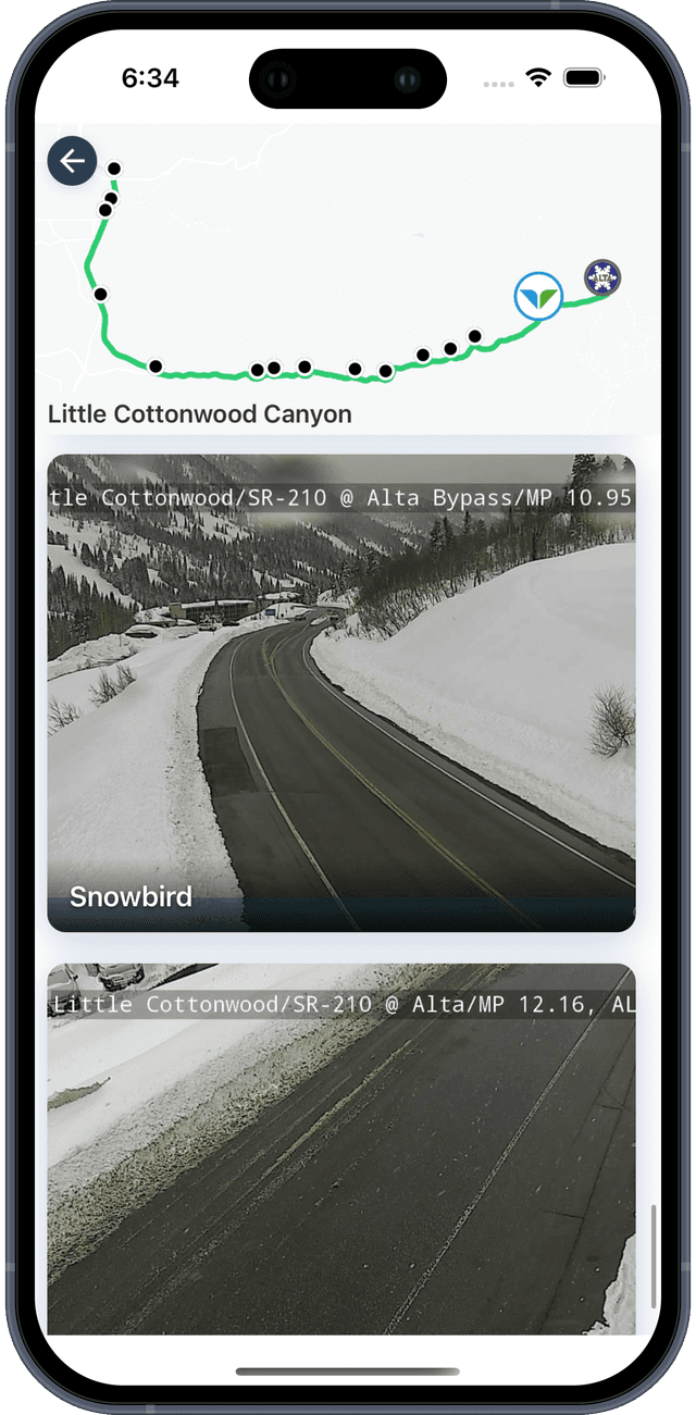 Ski Roads Screenshot 3